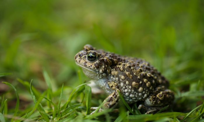© wildacad/Getty Images Signature